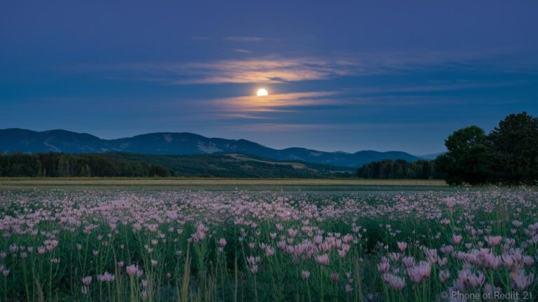 Full-Moon-Abundance-Timing-For-Capricorn-Ignites-Prosperity Full-Moon-Abundance-Timing-For-Capricorn-Ignites-Prosperity